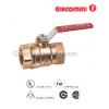 GIACOMINI R250D Standard port ball valve