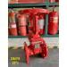 Fivalco 3299-300-FLA, 300PSI OS&Y Gate Valve, Flanged Ends, 3"